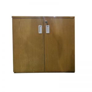 Tủ Hồ Sơ Thấp THST13.jpg